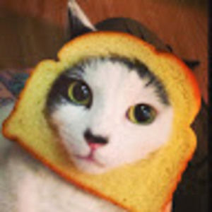 Meet your Posher, Deanna